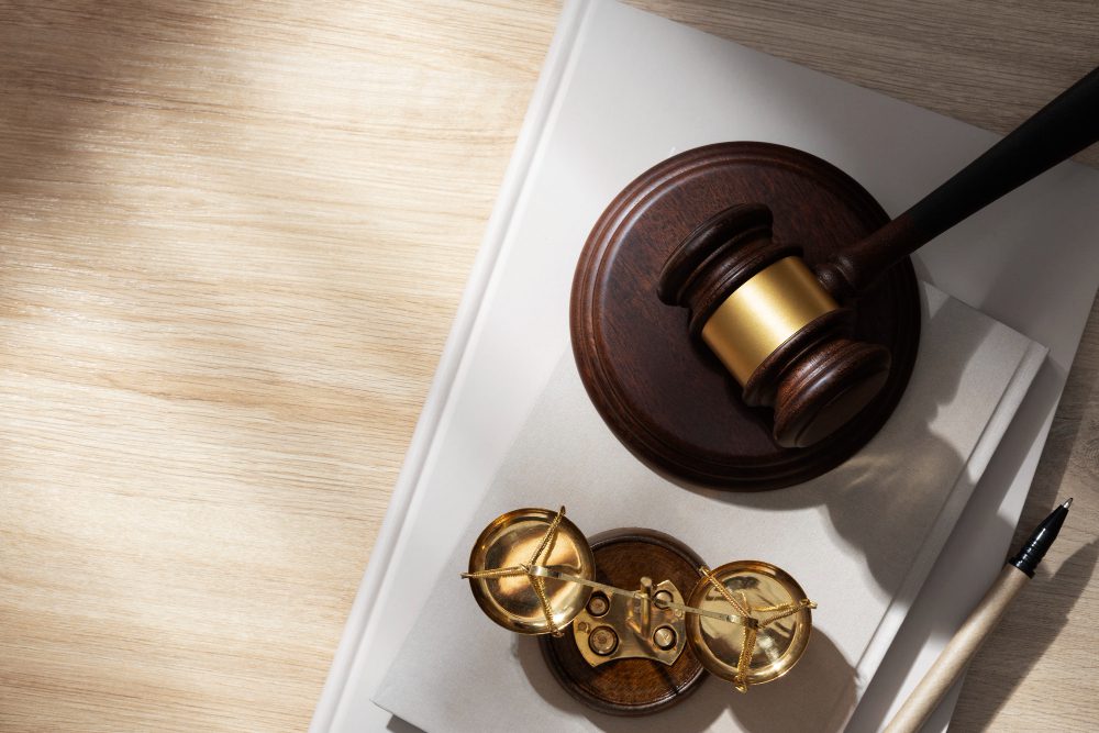 derecho constitucional